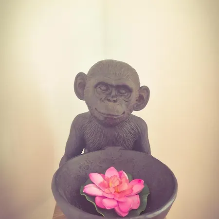 아파트 Travellers Oasis Rhoen, Spessart & Vogelsberg